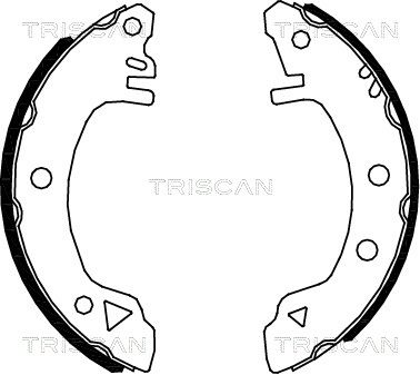 810016375 TRISCAN Комплект тормозных колодок