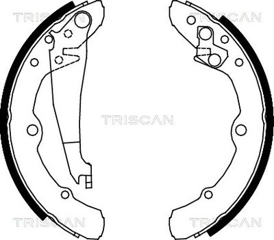 810029343 TRISCAN Комплект тормозных колодок