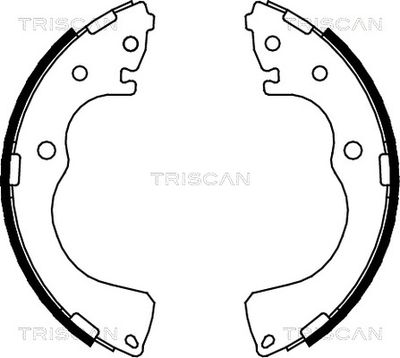 810050001 TRISCAN Комплект тормозных колодок