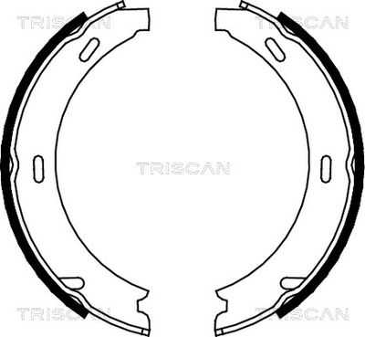 810023412 TRISCAN Комплект тормозных колодок, стояночная тормозная система