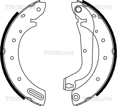 810014596 TRISCAN Комплект тормозных колодок