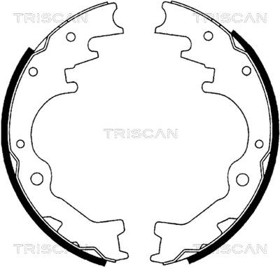 810010035 TRISCAN Комплект тормозных колодок