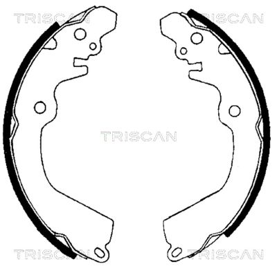 810042568 TRISCAN Комплект тормозных колодок