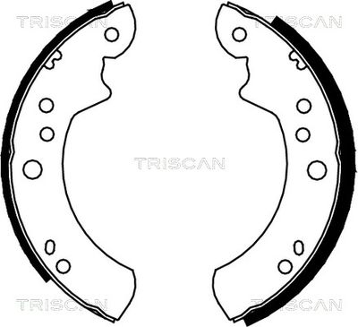 810016443 TRISCAN Комплект тормозных колодок