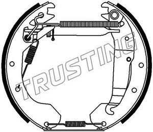 6245 TRUSTING Комплект тормозных колодок