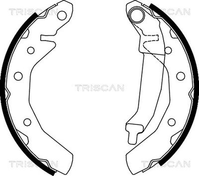 810021610 TRISCAN Комплект тормозных колодок