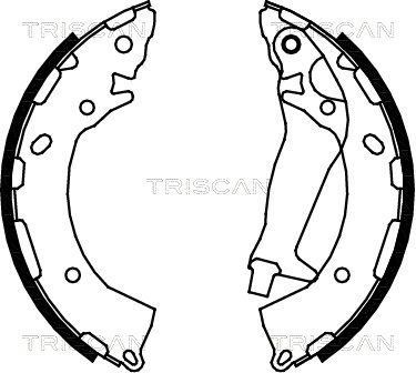 810043024 TRISCAN Комплект тормозных колодок