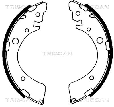810040441 TRISCAN Комплект тормозных колодок