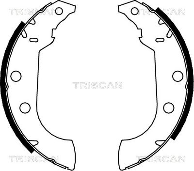 810010489 TRISCAN Комплект тормозных колодок