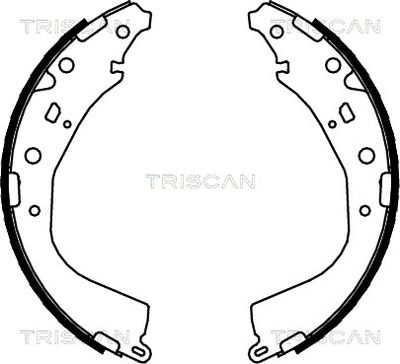 810013053 TRISCAN Комплект тормозных колодок