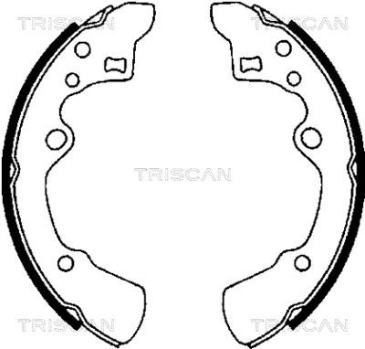 810050496 TRISCAN Комплект тормозных колодок
