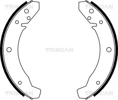 810029104 TRISCAN Комплект тормозных колодок
