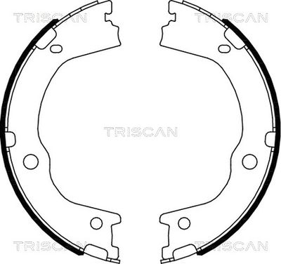810043027 TRISCAN Комплект тормозных колодок