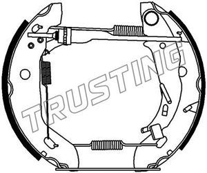 6209 TRUSTING Комплект тормозных колодок