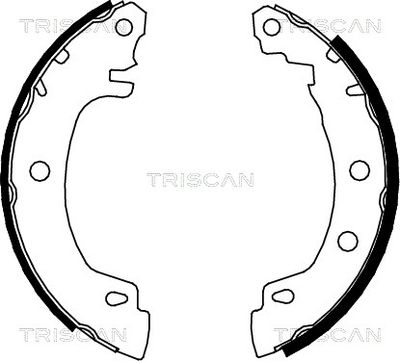 810025581 TRISCAN Комплект тормозных колодок
