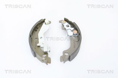 810015018 TRISCAN Комплект тормозных колодок