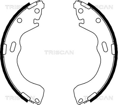 810050616 TRISCAN Комплект тормозных колодок