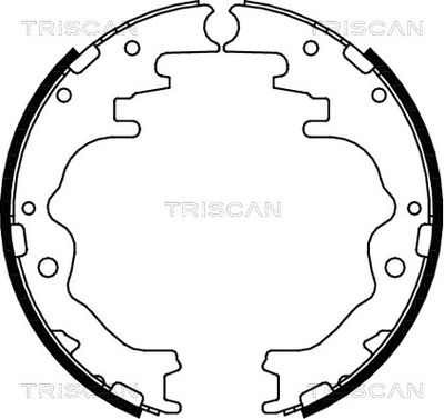 810050526 TRISCAN Комплект тормозных колодок