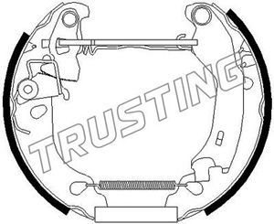 6250 TRUSTING Комплект тормозных колодок