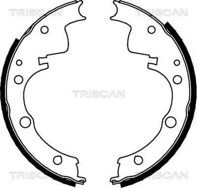 810010436 TRISCAN Комплект тормозных колодок