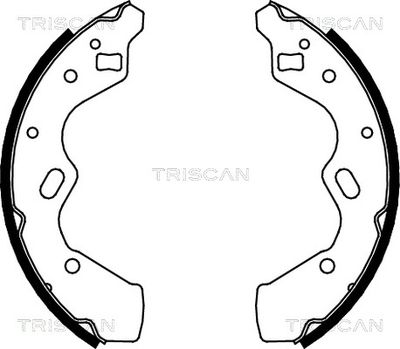 810050615 TRISCAN Комплект тормозных колодок