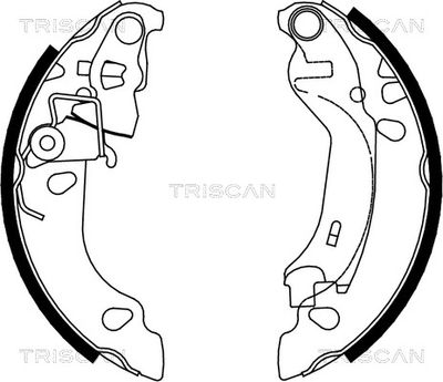 810015016 TRISCAN Комплект тормозных колодок