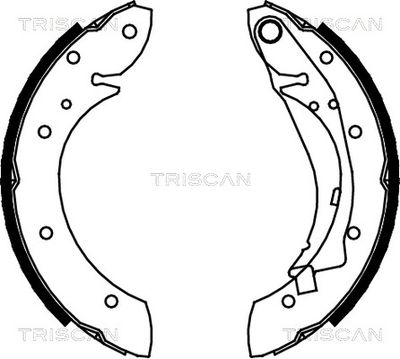 810028598 TRISCAN Комплект тормозных колодок