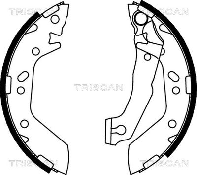 810043012 TRISCAN Комплект тормозных колодок