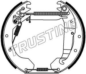 6244 TRUSTING Комплект тормозных колодок