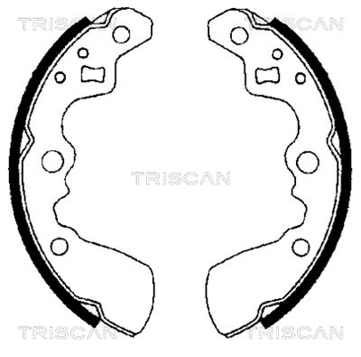 810069550 TRISCAN Комплект тормозных колодок