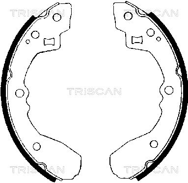 810050406 TRISCAN Комплект тормозных колодок