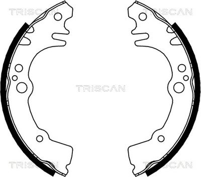 810041616 TRISCAN Комплект тормозных колодок