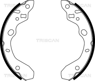 810050611 TRISCAN Комплект тормозных колодок