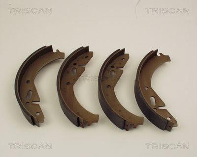810067305 TRISCAN Комплект тормозных колодок