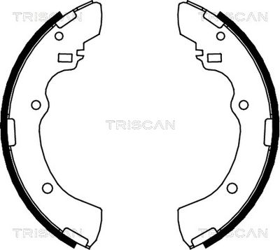 810042505 TRISCAN Комплект тормозных колодок
