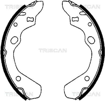 810050500 TRISCAN Комплект тормозных колодок