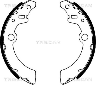 810069001 TRISCAN Комплект тормозных колодок