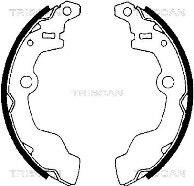 810069002 TRISCAN Комплект тормозных колодок