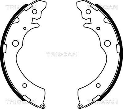 810040508 TRISCAN Комплект тормозных колодок