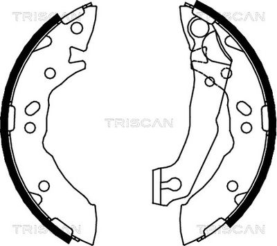 810043621 TRISCAN Комплект тормозных колодок