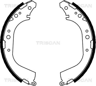 810014565 TRISCAN Комплект тормозных колодок