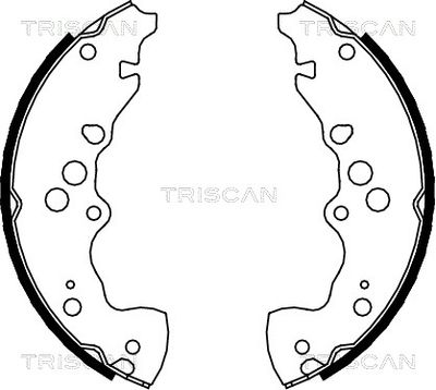 810069003 TRISCAN Комплект тормозных колодок