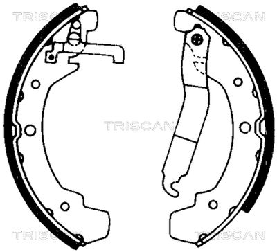 810029437 TRISCAN Комплект тормозных колодок