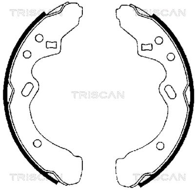 810050438 TRISCAN Комплект тормозных колодок