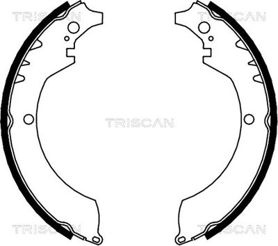 810041419 TRISCAN Комплект тормозных колодок