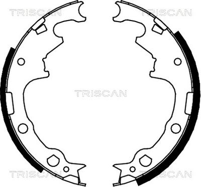 810010001 TRISCAN Комплект тормозных колодок