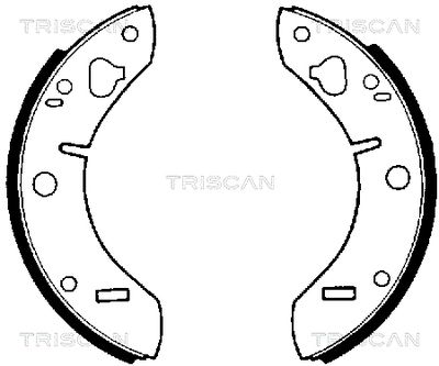 810065011 TRISCAN Комплект тормозных колодок