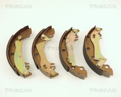 810015285 TRISCAN Комплект тормозных колодок