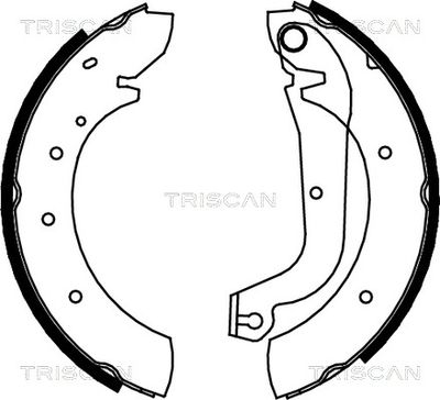 810015480 TRISCAN Комплект тормозных колодок