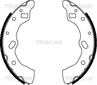 810050556 TRISCAN Комплект тормозных колодок